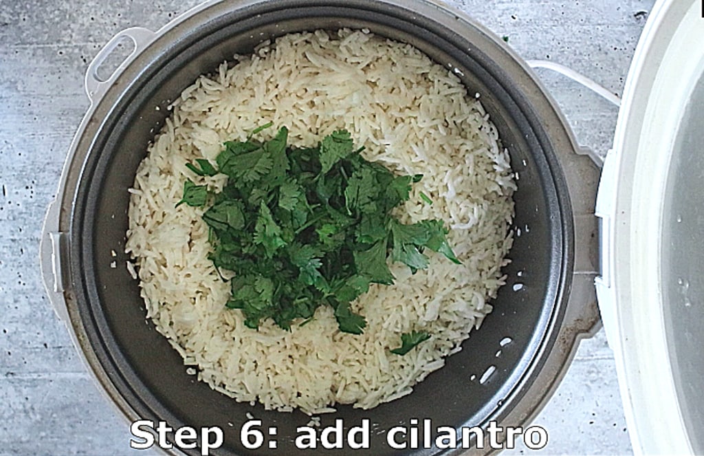 step 6 add cilantro